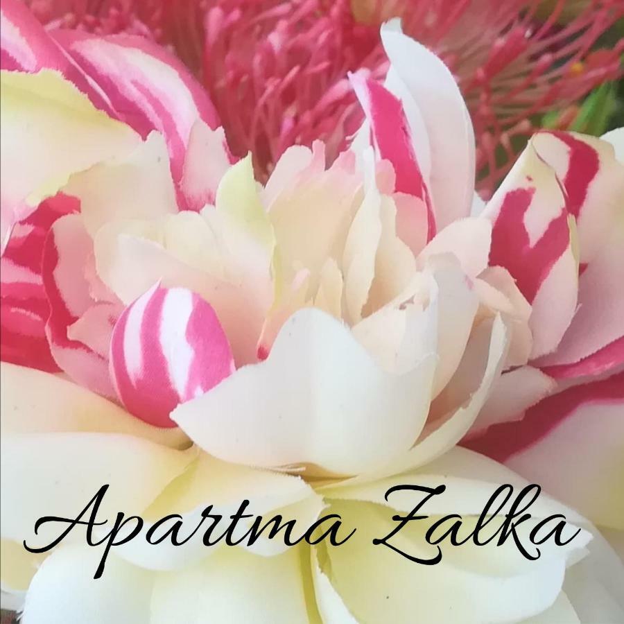 Apartma Zalka Izola Kültér fotó